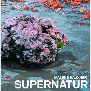Malene Hauxner: SUPERNATUR. Europisk landskabsarkitektur 1967-2007 set fra Danmark