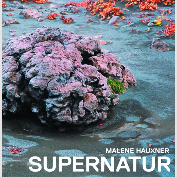Malene Hauxner: SUPERNATUR. Europisk landskabsarkitektur 1967-2007 set fra Danmark